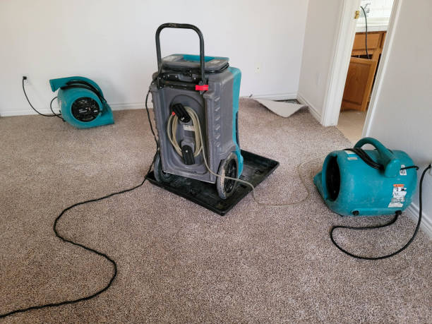 Best Professional water damage repair  in Sparkill, NY