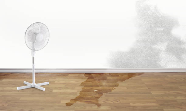 Best Flooded house restoration  in Sparkill, NY
