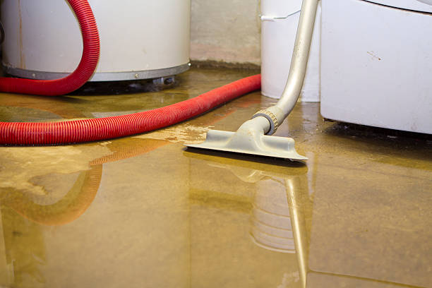 Best Carpet water damage restoration  in Sparkill, NY