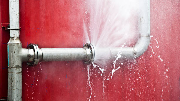 Best Mold removal after water damage  in Sparkill, NY