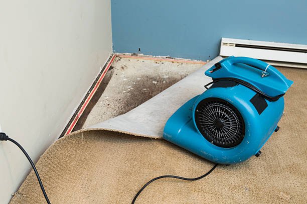 Best Water damage contractors near me  in Sparkill, NY